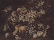 unknow artist Still life of red and white grapes,peaches and plums,on a stone ledge oil painting on canvas